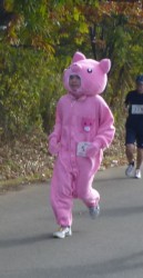 彩湖マラソン豚さん