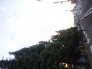 世田谷公園夕日2