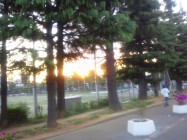 世田谷公園夕日
